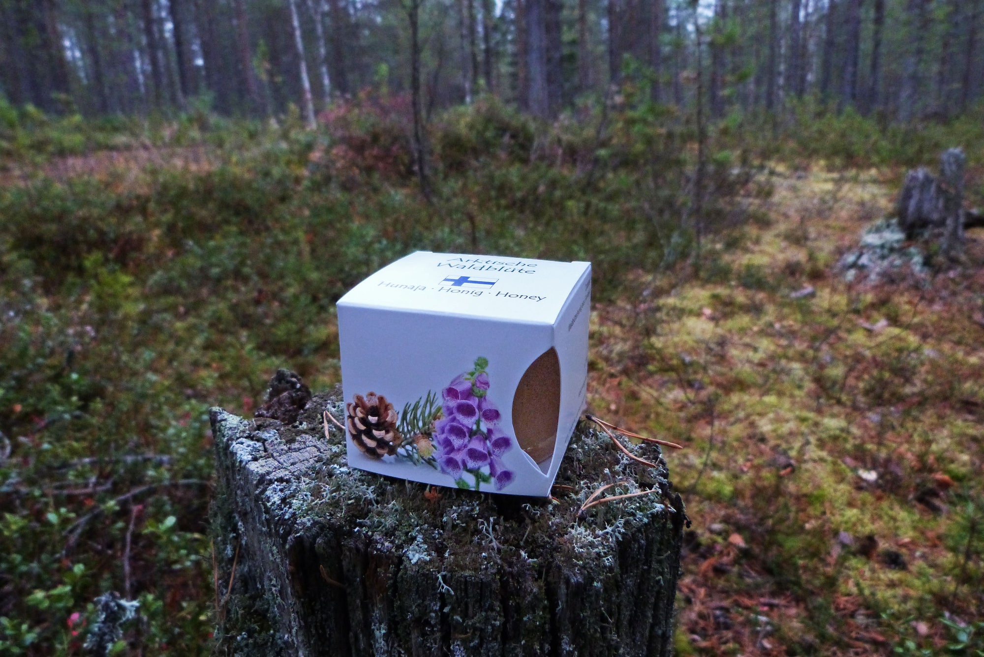 Arktischer Waldblüten-Honig aus Oulu - hanse-honig.shop